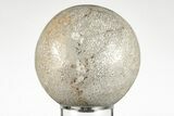 Polished Agatized Dinosaur (Gembone) Sphere - Morocco #198501-1
